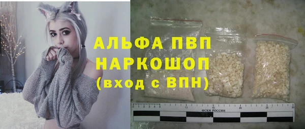 ПСИЛОЦИБИНОВЫЕ ГРИБЫ Новозыбков