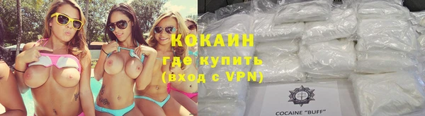 ПСИЛОЦИБИНОВЫЕ ГРИБЫ Новозыбков