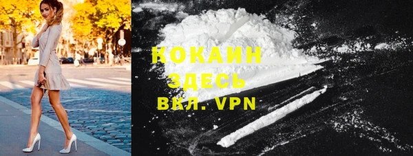 ПСИЛОЦИБИНОВЫЕ ГРИБЫ Новозыбков