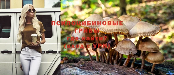 спиды Нефтекумск