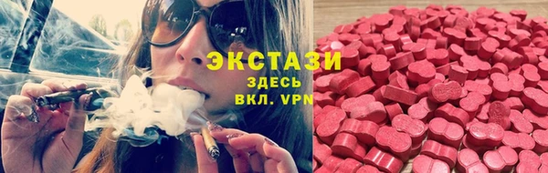 ПСИЛОЦИБИНОВЫЕ ГРИБЫ Новозыбков